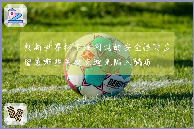 判断世界杯下注网站的安全性时应留意哪些关键点避免陷入骗局