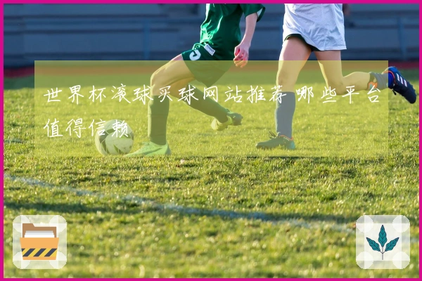 世界杯滚球买球网站推荐 哪些平台值得信赖