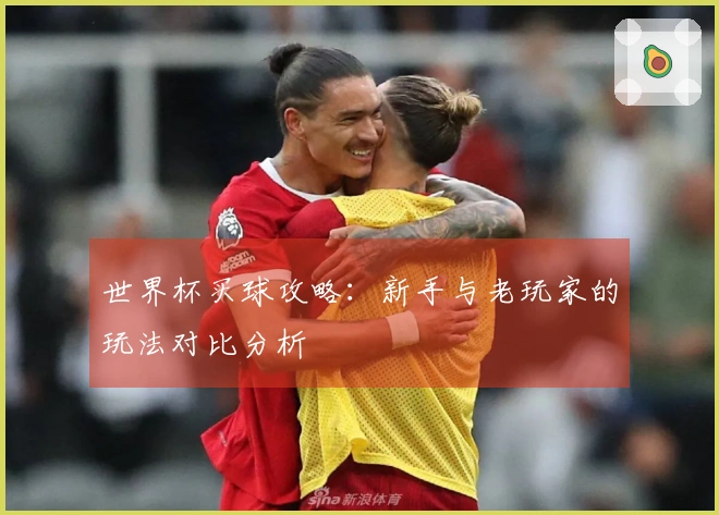世界杯买球攻略：新手与老玩家的玩法对比分析